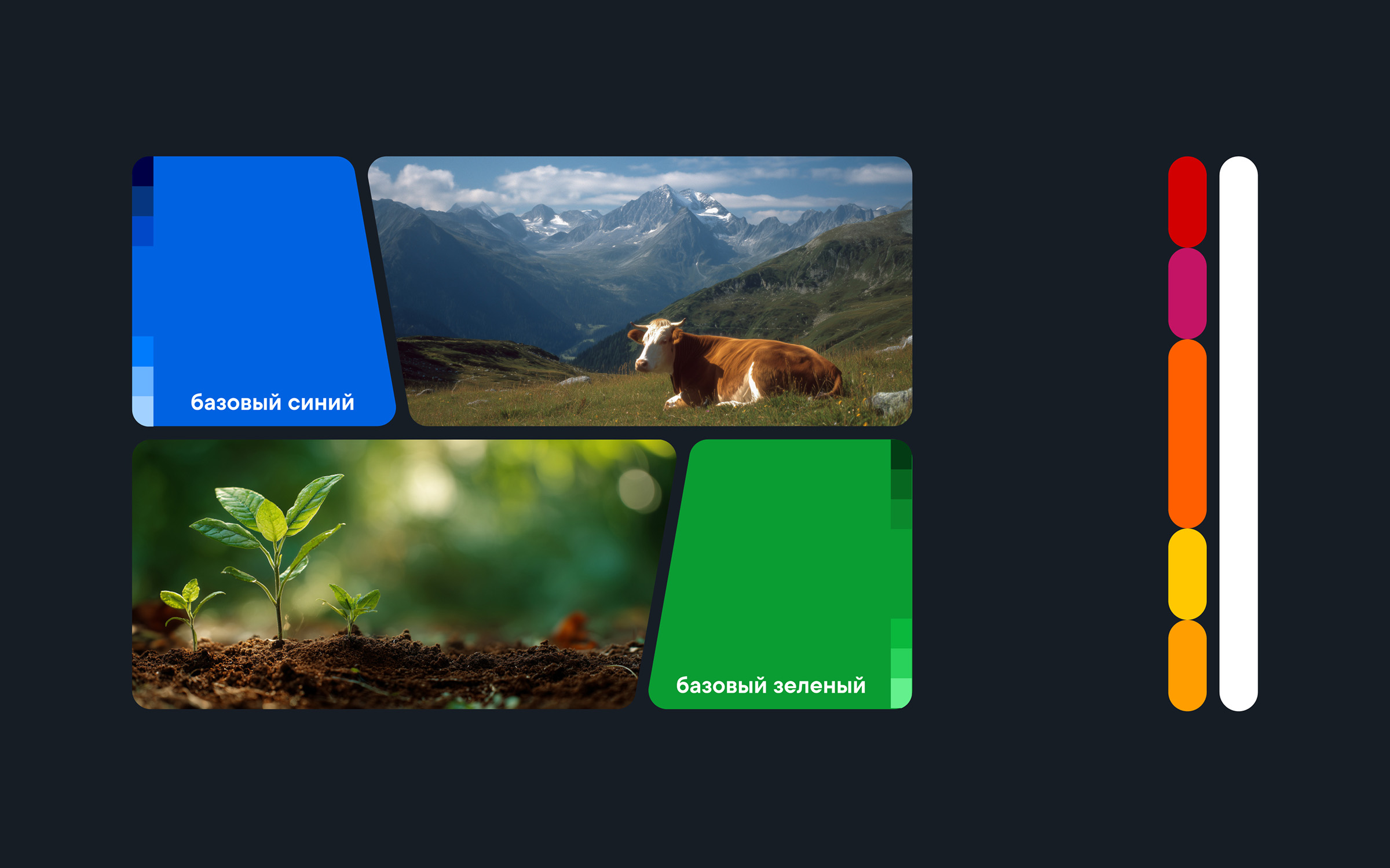 Health & Nutrition — изображение 1
