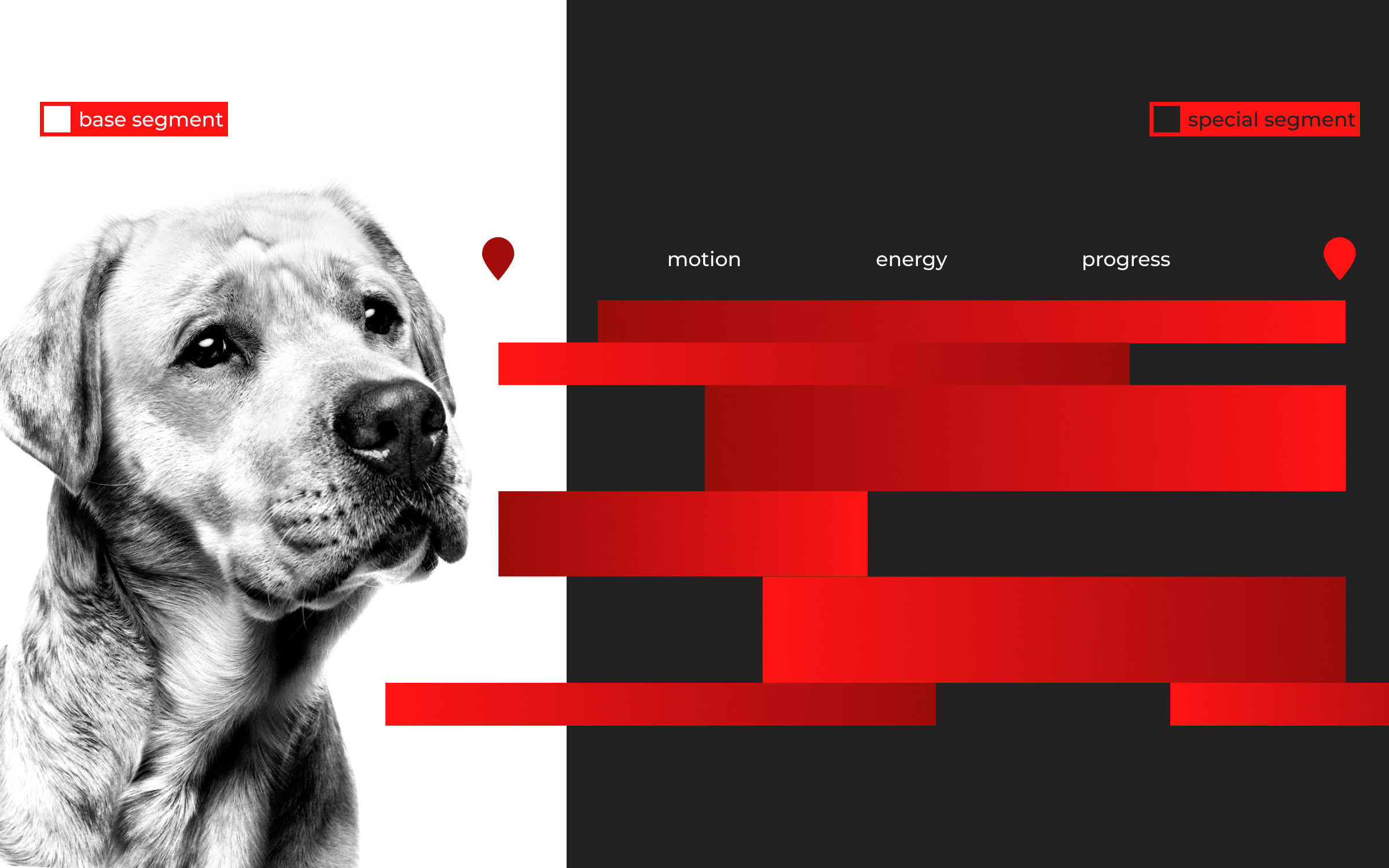 Royal Canin — изображение 2