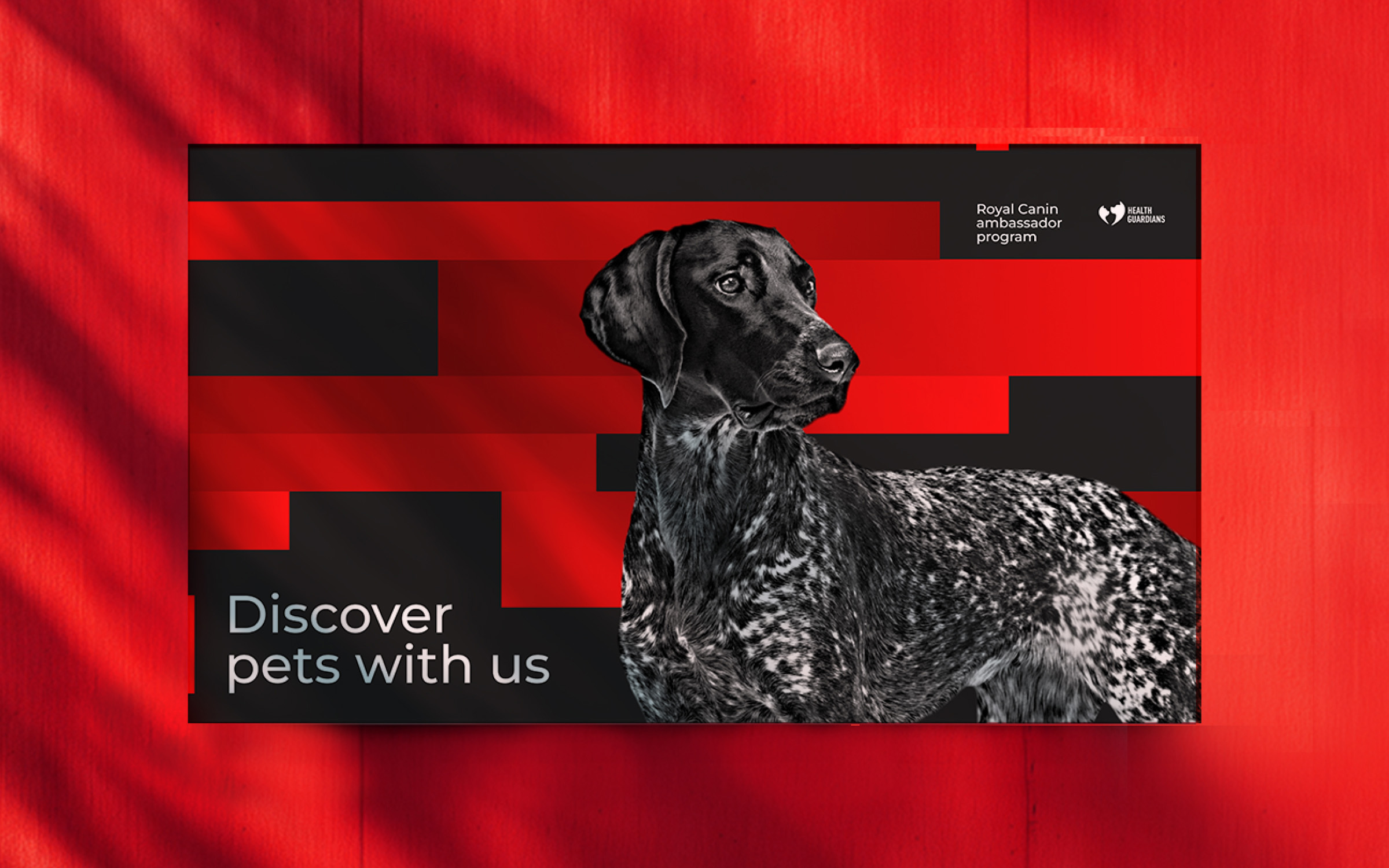 Royal Canin — изображение 3